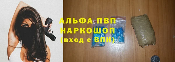 крисы Аркадак