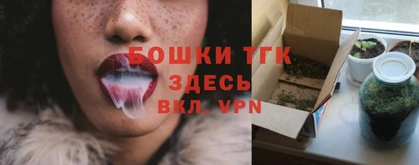 крисы Аркадак