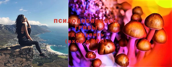 крисы Аркадак