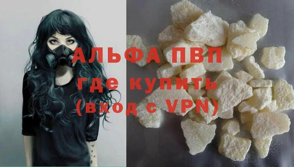 крисы Аркадак