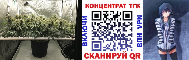 купить   Урень  Дистиллят ТГК THC oil 