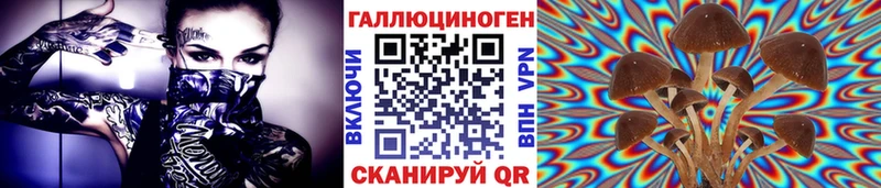 цены наркотик  Урень  Псилоцибиновые грибы GOLDEN TEACHER 